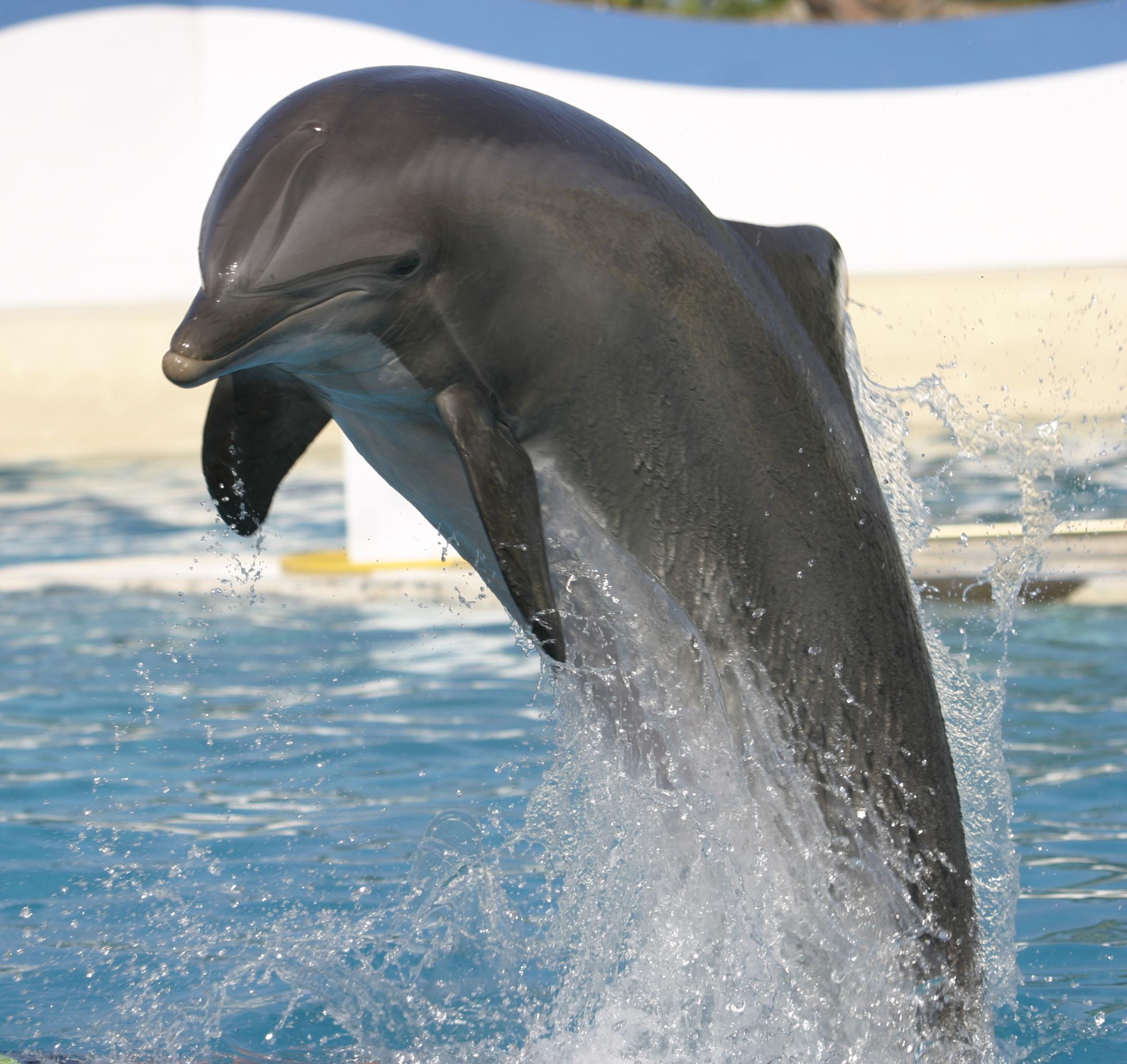 Marineland Hotell Antibes
