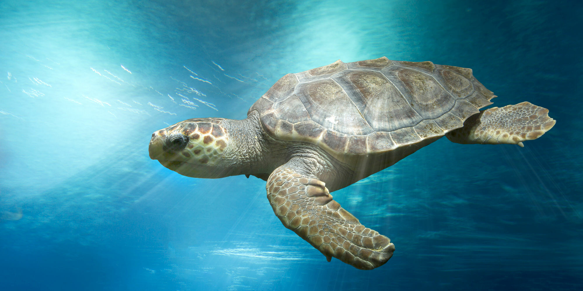 Hotell Marineland Antibes